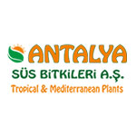 Antalya Süs Bitkileri Russian